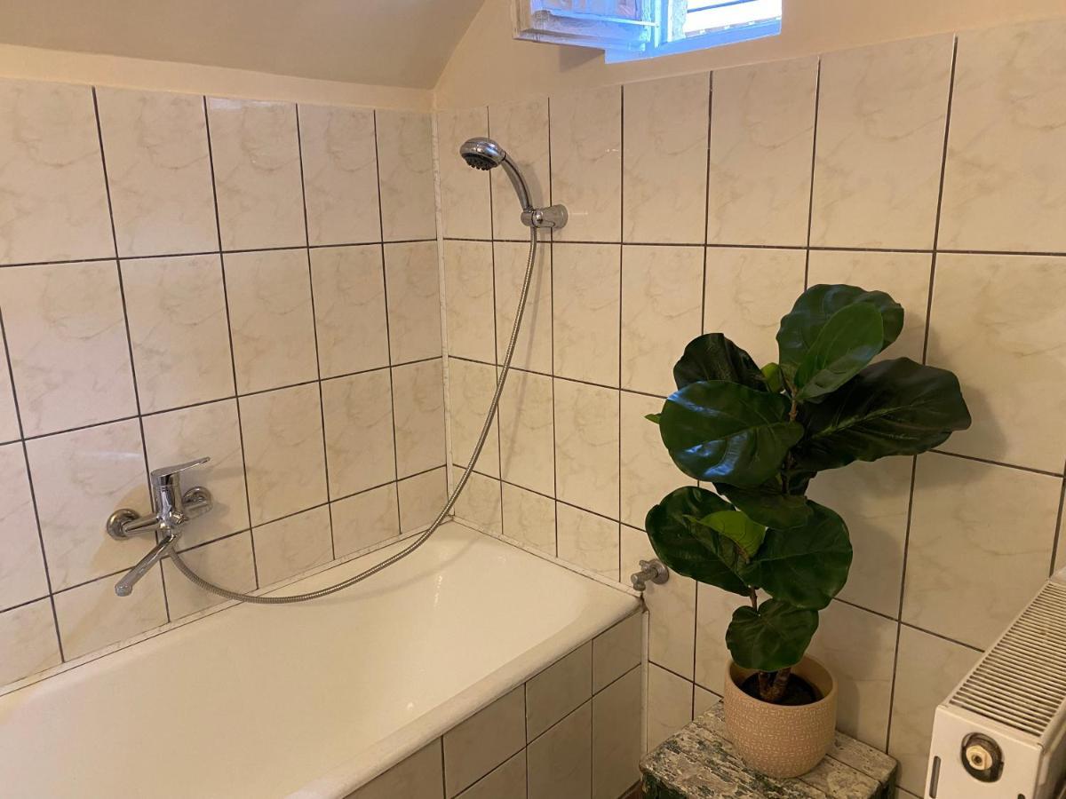 Rose'S Oldtown Apartment Braşov Extérieur photo
