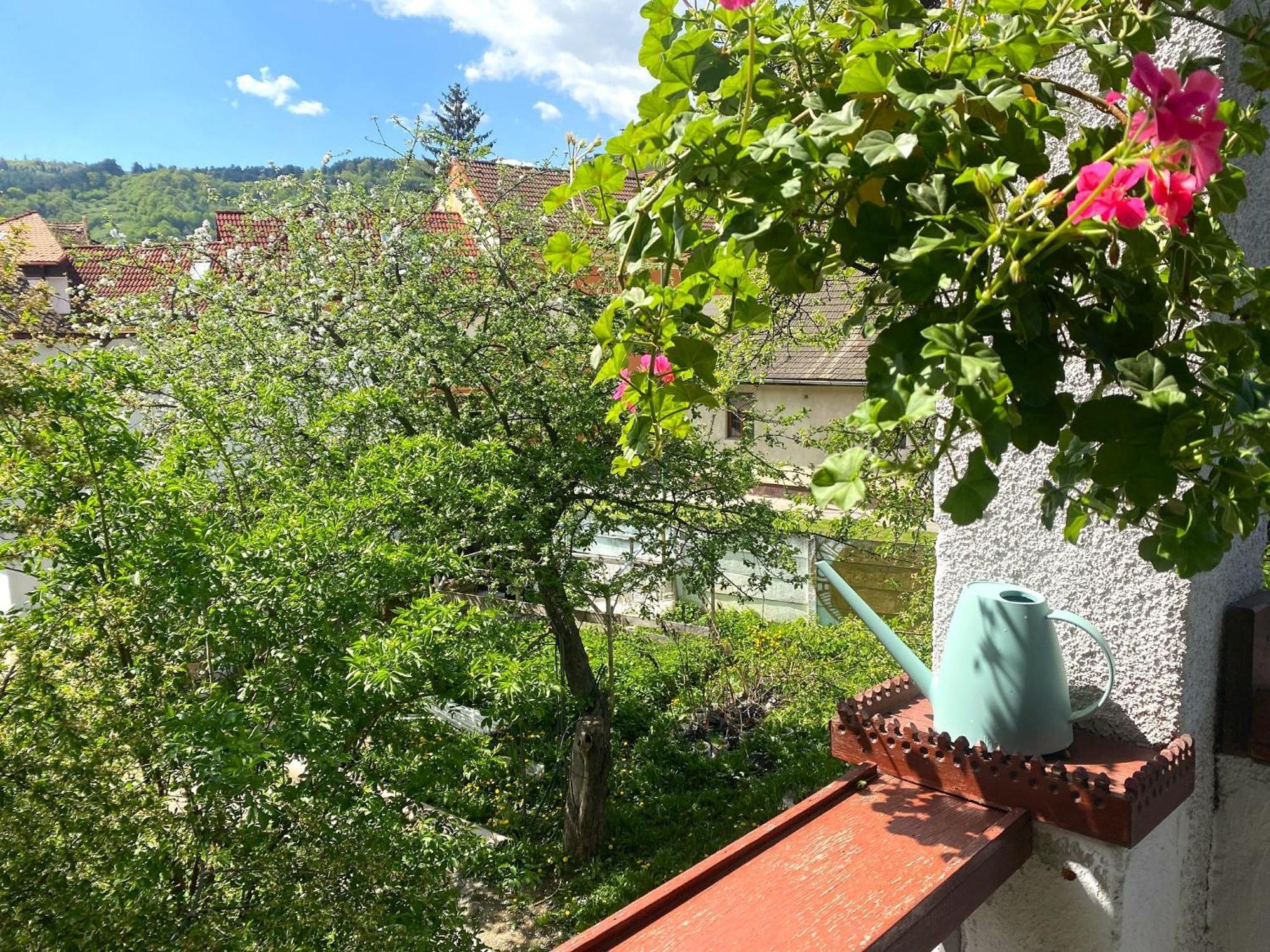 Rose'S Oldtown Apartment Braşov Extérieur photo
